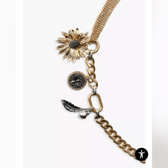 Zara Charm Metal Belt - Picture 3 of 3